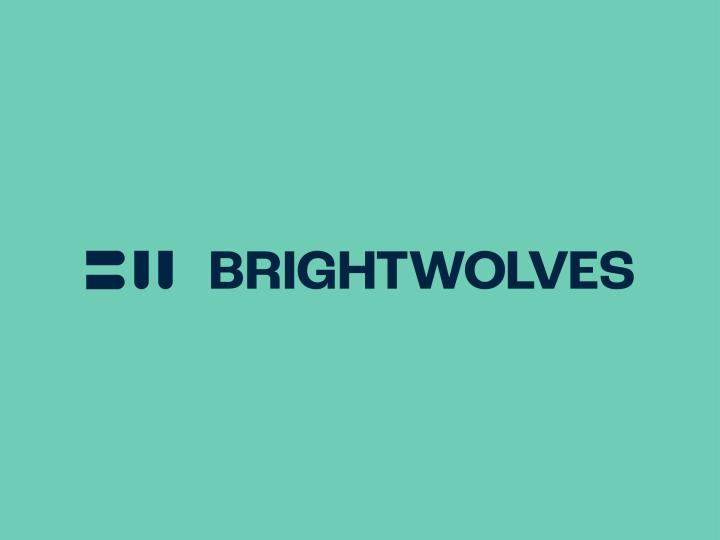 BrightWolves - Brand identity design
